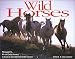 Wild Horses 2002 Calendar