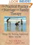 The Practical Practice of Marriage and Family Therapy: Things My Training Supervisor Never Told Me (Haworth Marriage and the Family,)