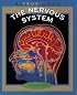 The Nervous System: A True Book (True Books-Health)