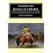 Mountain Men: Biographies & Personal Narratives