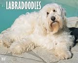 Just Labradoodles 2007 Calendar (Just)