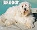 Just Labradoodles 2007 Calendar