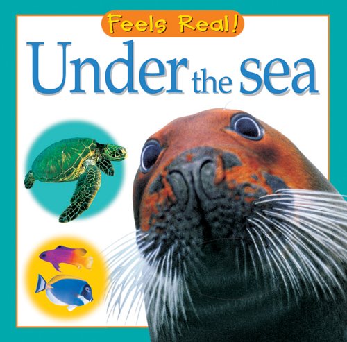 Under the Sea (Feels Real!)