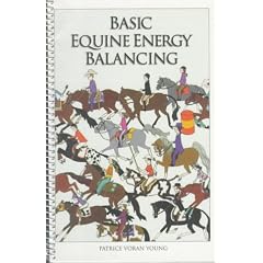 Basic Equine Energy Balancing