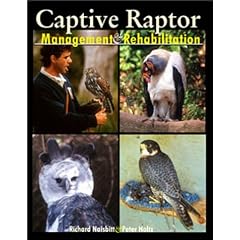 Captive Raptor: Management & Rehabilitation