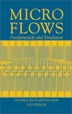 Micro Flows: Fundamentals and Simulation