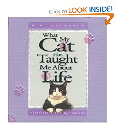 What My Cat Has Taught Me About Life
