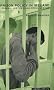 Prison Policy in Ireland: Criminal Justice Versus Social Justice (Undercurrents)