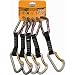 Sporting Goods : Box of Classic Quickdraws (5) by Trango