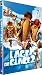 DVD : L'age de glace 2