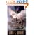 The Last Guardian of Everness (War of the Dreaming 1)