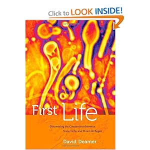 First Life: Discovering the Connections between Stars, Cells, and How Life Began