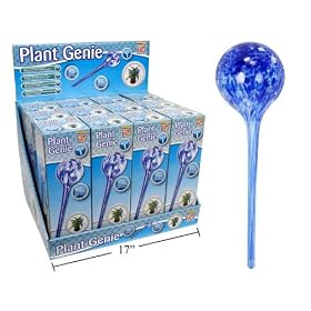 AQUA BULB GLOBE - HAND BLOWN WATER FEEDERS - 4 PACK