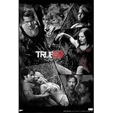 True Blood Shattered Mirror TV Poster Print - 24x36 Poster Print, 24x36