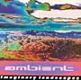 Ambient 2: Imaginary Landscapes