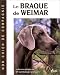 Le braque de weimar