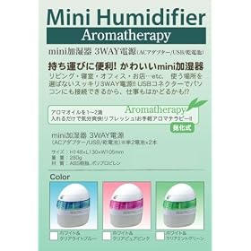 mini������i�A���}�f�B�t���[�U�[�j �z���C�g���N���A�~���g�O���[���@�A���}�e���s�[ 3WAY�d���iAC�A�_�v�^�[�EUSB�E���d�r�j