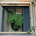 Book Pocket Gardens: Contemporary Japanese Miniature Designs