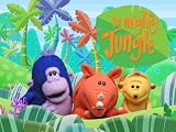 play video on Amazon Instant Video