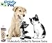 The Best Natural Fish Oil for Dogs and Cats: Pure, Wild Salmon Oil ★ Rich in Omega 3 ★ Formula for Dry Skin and Coat Treatment ★ Allergy and Itch Relief