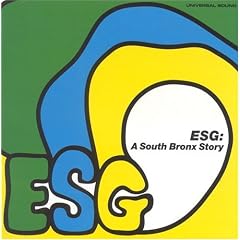 South Bronx Story