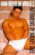 Bad Boys of Video: Interviews with gay adult stars v. 2