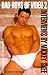 Books : Bad Boys of Video 2: Interviews by Mickey Skee