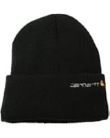 Carhartt Men's Wetzel Watch Hat