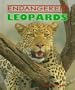 Leopards (Endangered!)
