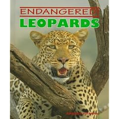 Leopards (Endangered!)