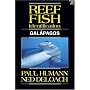 Reef Fish Identification: Galapagos