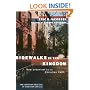Sidewalks in the Kingdom: New Urbanism and the Christian Faith (The Christian Practice of Everyday Life)