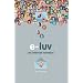 E-luv: An Internet Romance