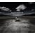 Define the Great Line (CD & DVD)