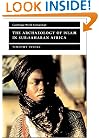The Archaeology of Islam in Sub-Saharan Africa (Cambridge World Archaeology)