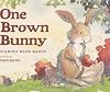 One Brown Bunny