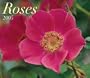 Roses 2005