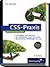 CSS-Praxis: Grundlagen, Referenz, browserübergreifende Lösungen (Galileo Computing)