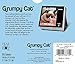 Grumpy Cat Boxed Calendar (2015)