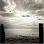 VINNYBEACH~�ˋ�̊C��~(��������)(DVD�t)