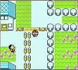 Pokemon Gold