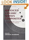 Advanced Ceramic Matrix Composites: Design Approaches,Testing and Life Prediction Methods