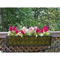 Carolina Planter And Coco Liner
