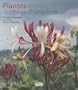 Plantes des haies champ�tres