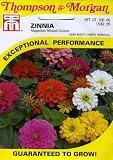 Thompson & Morgan 4264 Zinnia 'Magellan Mix' Seed Packet