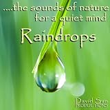 David Sun Raindrops