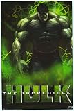 Incredible Hulk The - Art Poster - 22 x 34