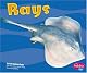Rays (Pebble Plus)