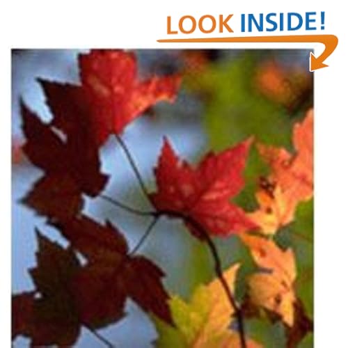 HORSES E-CALENDAR 18 Months Bonus (UK and Ireland) 2012-11 Diana L. Neiderhiser