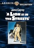 A Lion is in the Streets